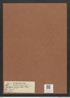 Gephyria gigantea Grev. (de-Toni-Nr.: Genus 102, Species 3110) Zeichnungen Sammlung Grunow Mappe 03336 (Herbarium_W_Grunow_drawings_Folder_03336)